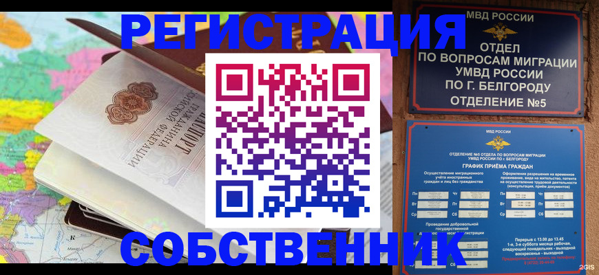 временная регистрация гарантия в Шумихе